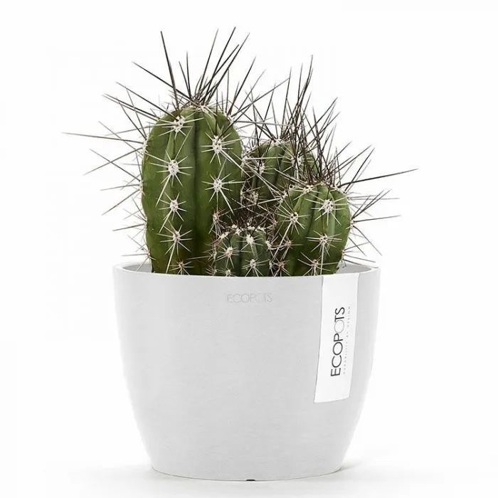 Pot de fleurs Ecopots Stockholm, Blanc pur | MarketOnWeb